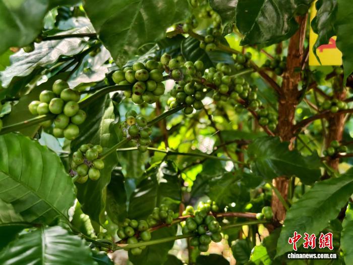梦想启航，精彩无限 - ng娱乐